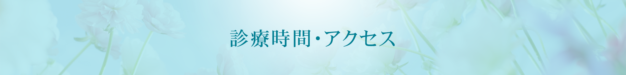 診療時間・アクセス